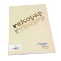 PAPIR A4 80g EKOPAPIR