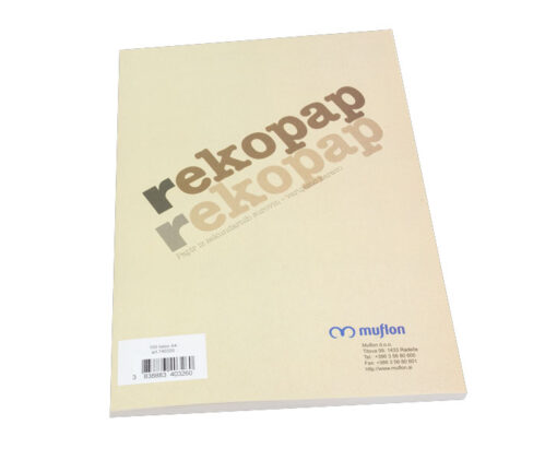 PAPIR A4 80g EKOPAPIR
