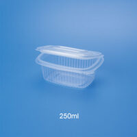 Kontejner-R4-250ml