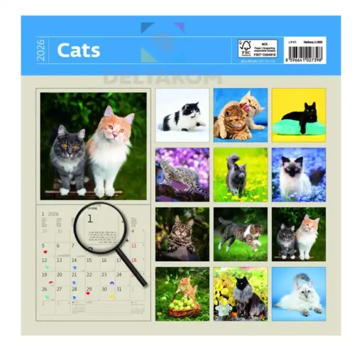 KOLEDAR CATS MUCE GALERIJA
