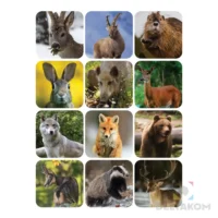 Koledar stenski LOV GALERIJA