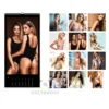 Koledar stenski SEXY GIRL 2026 23×54 GALERIJA