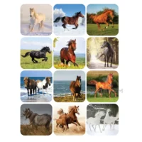 Koledar stenski KONJI sint GALERIJA