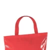 Hladilna torba_rdeča_Galerija 2