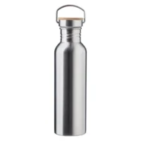 Športna steklenica 700 ml srebrna