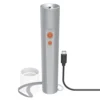 LED-svetilka Hama FL350-C srebrna